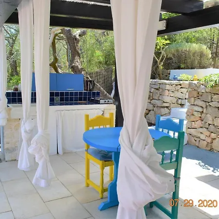 Stenella גאיוס
