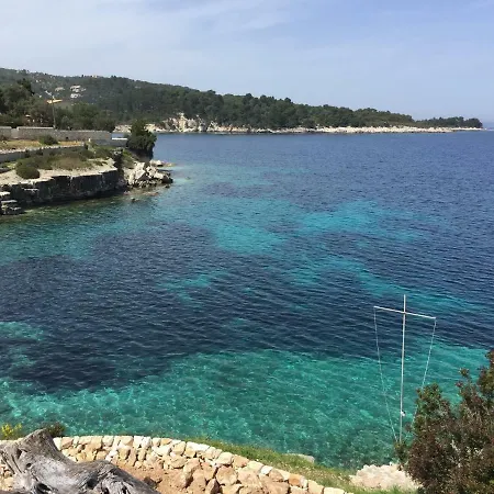 Stenella