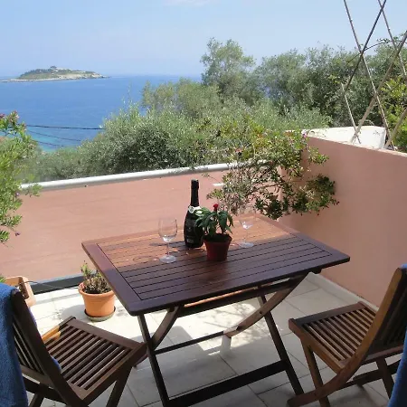 Stenella * Gaios